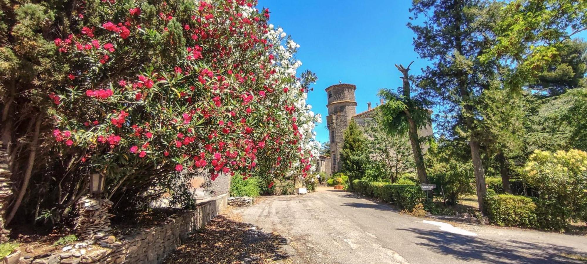 Chateau Saint-Martin Carcassonne Exterior foto